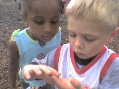 Aria & Clay looking at caterpillar