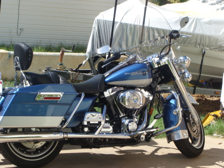 HARLEY ROAD KING