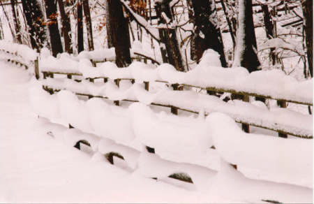 bradford snow