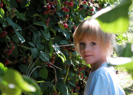 Maya, berry picking