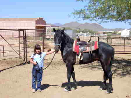 Randy Helm's album, Horses and horse training