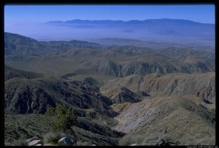 Joshua Tree Natl Park