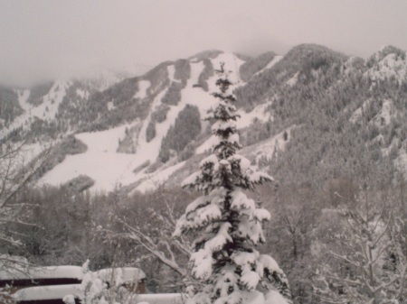 Aspen Winter Bliss