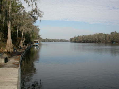 Way Down Upon the Suwannee River...