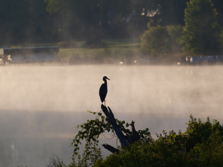 Debora Colthurst's album, River Pics