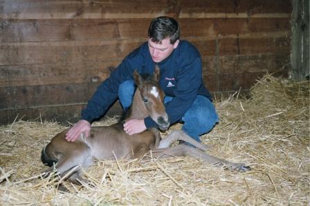 Joey and Samson