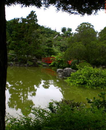 Japanese Garden, DR botanical Gardens