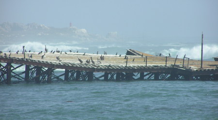 Muelle Viejo