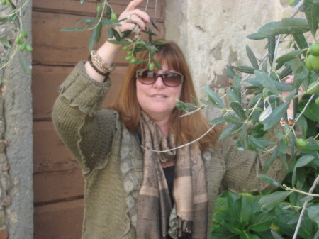 Under an olive tree in Tuscany