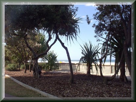 Surfer's Paradise, Gold Coast, QLD, Australia