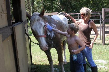 Washing Tippy 2008