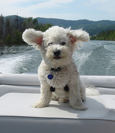 Baily on the boat