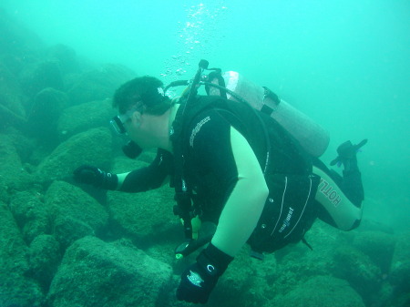 diving in maui