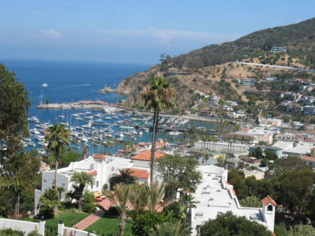 Beautiful Catalina