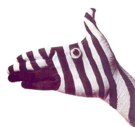 zebra hand