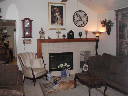Bowie in living room  2008