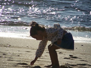"Picking Shells in Portugal"