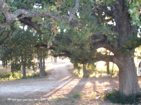 Sunset at Twin Oaks , Covington, Tx.  11/2008