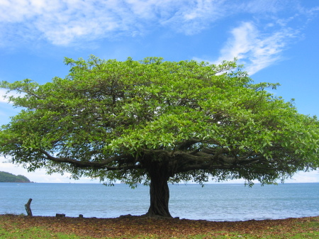 Costa Rica