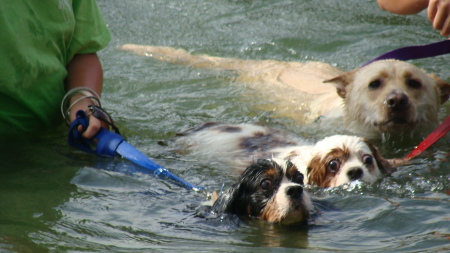 Look mom - we can all swim!