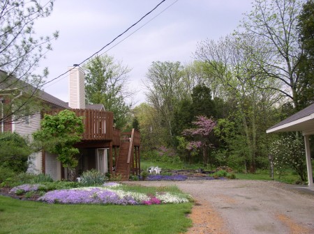 My backyard before fixing up the driveway