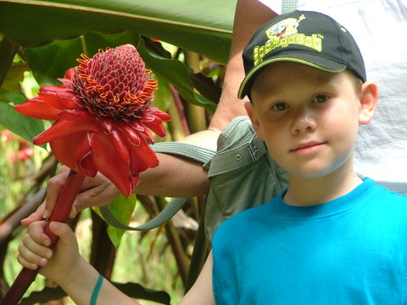 road to Hana