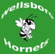 Wellsboro High School Alumni Banquet reunion event on May 25, 2013 image