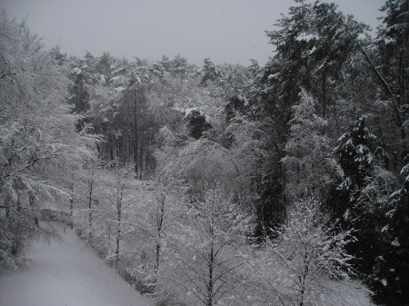 Winter in Germany