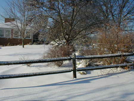 A view of Winter