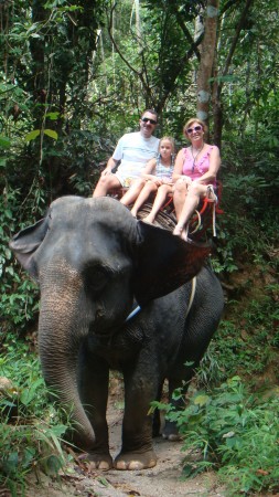 Elephant Treking Thailand