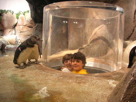 Zach & Luke & Penguin pals