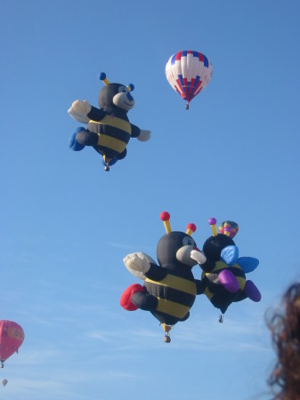 Bee Hot Air Balloons