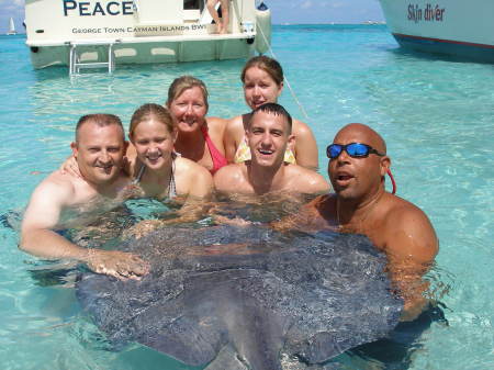 Stingrays