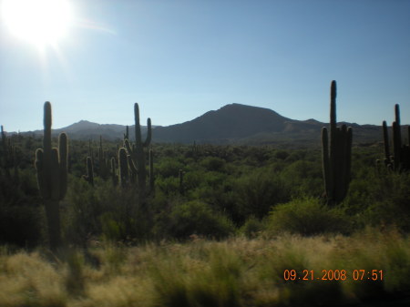 Arizona Desert - Beautiful!