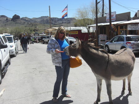 Oatman 2010