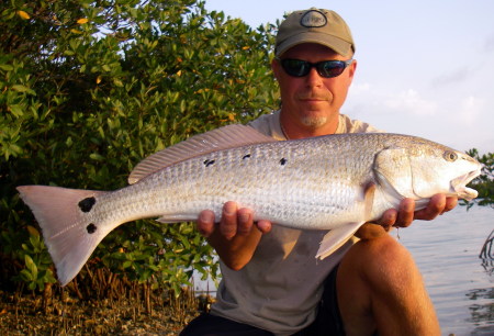 8 spotted redfish, Johns' Pass, Florida 5-08