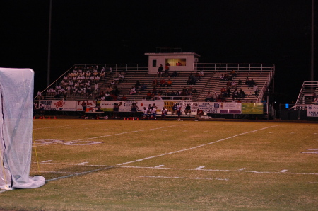 The Stands