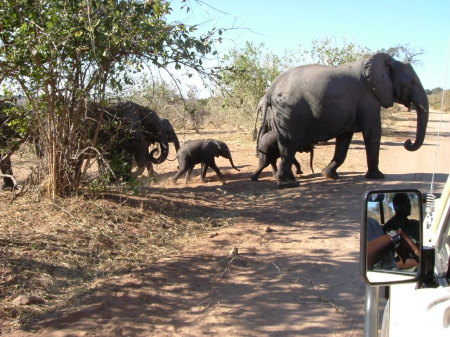 botswana babies, june 2006