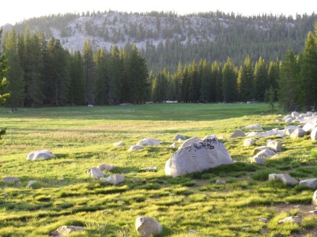 Tuolumne Meadows