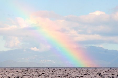 Puerto Rican Rainbow