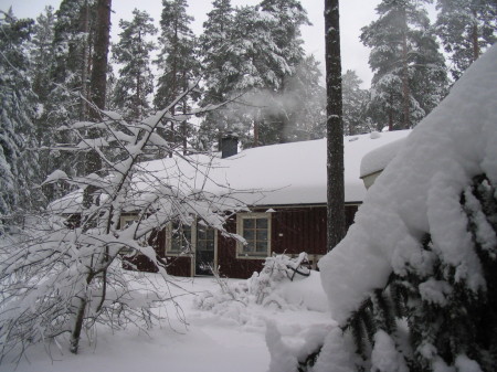 New snow in Degerby, February 2004