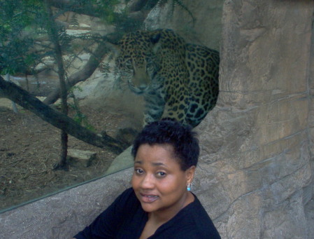 Me and the Jaguar