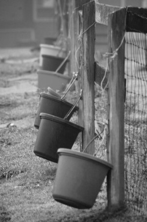 Feed Buckets on Fence