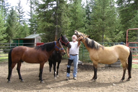 Three horses and me