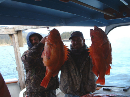 Yellow Eye caught in Alaska