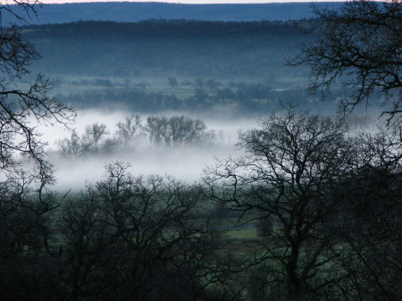 the early mornin fog