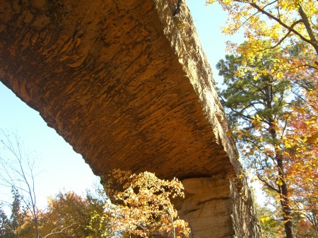 Natural Bridge State Park, Ky.