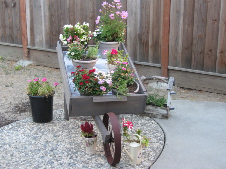 my new flower cart