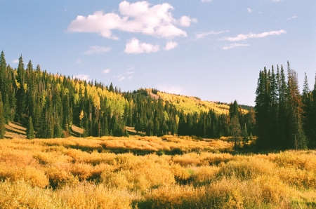 wolf creek pass 08