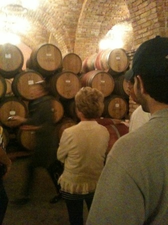 Wine/barrel tasting